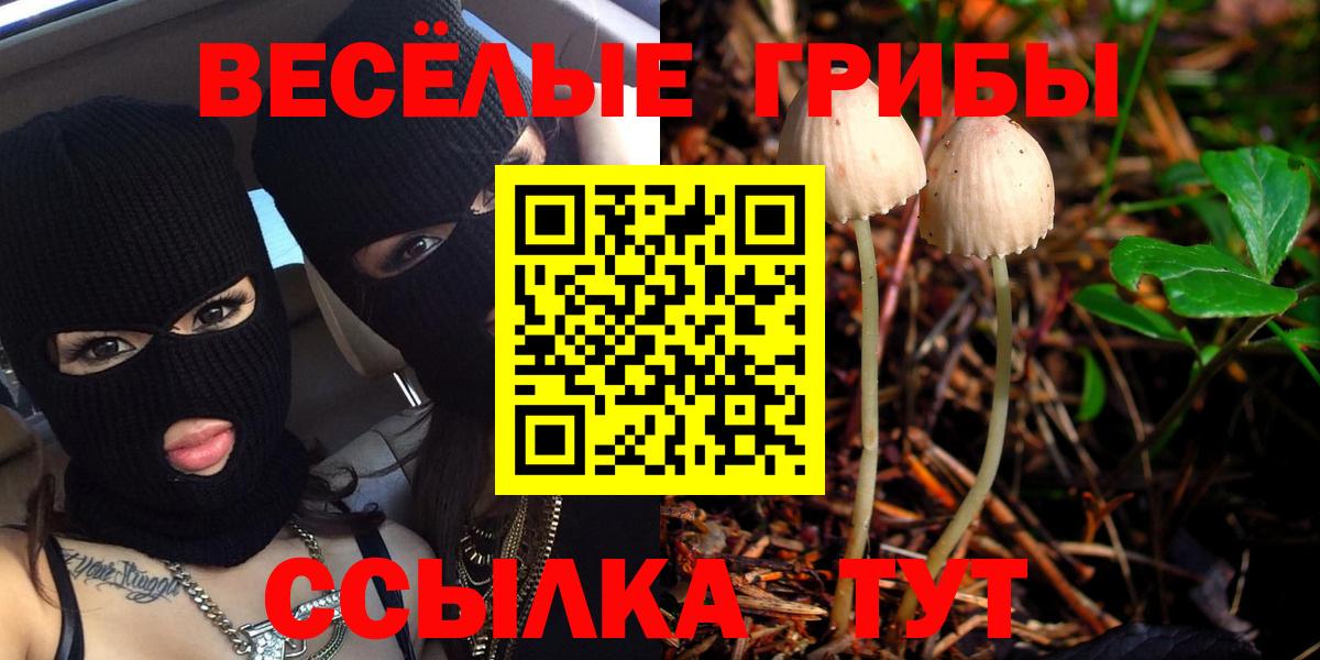 Псилоцибиновые грибы Cubensis  Вход с VPN  Дедовск 